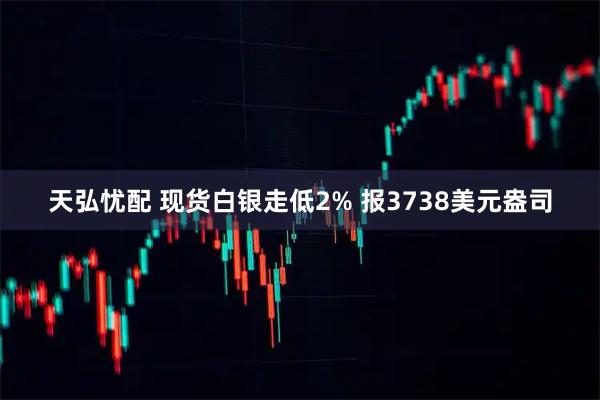 天弘忧配 现货白银走低2% 报3738美元盎司