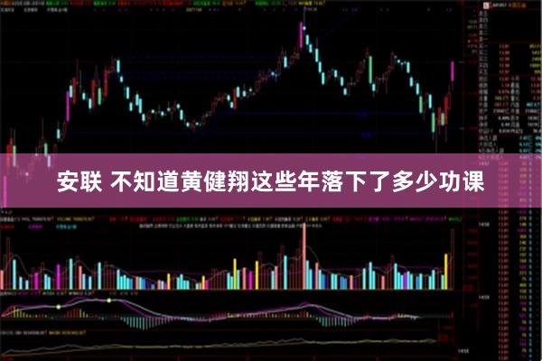 安联 不知道黄健翔这些年落下了多少功课